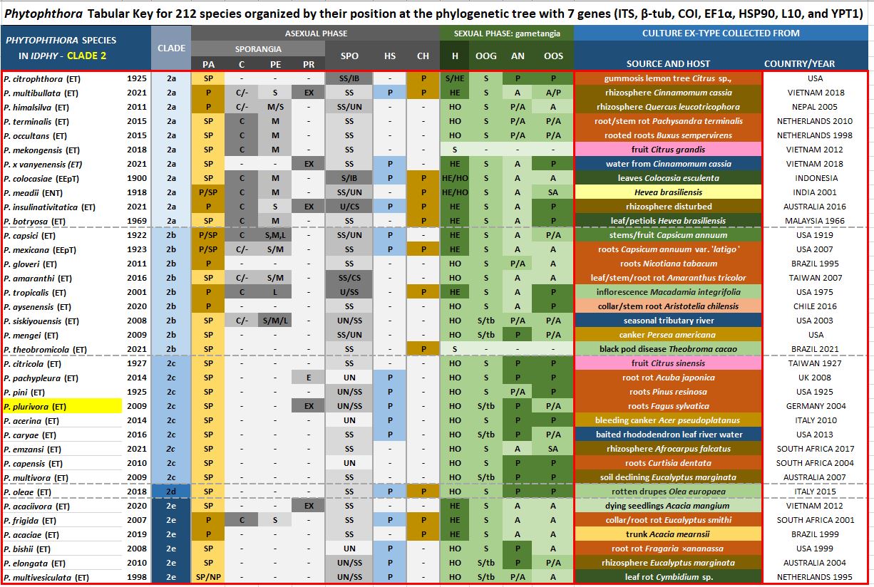    Phytophthora  spp. in subclade 2c:  Morphological Tabular key (PDF) and Tabular key legends (PDF) in IDphy2 KEY SECTION. Notice the data of   P. plurivora  Ex-type CBS 124093 = Samp;T BL 74 . Gloria Abad, USDA Samp;T.
